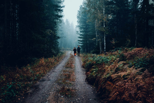 Planning Your Hunt on Public Lands: Choosing the Perfect Location