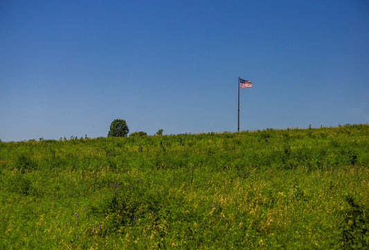 Victory for Public Lands: Mike Lee’s Land Sale Bill Defeated