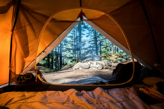 Plan Your 2025 Adventure with Not One Acre!