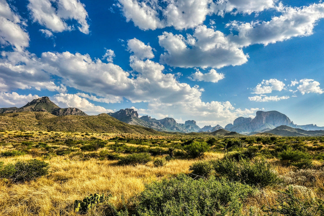 Big Bend National Park Border Wall Update