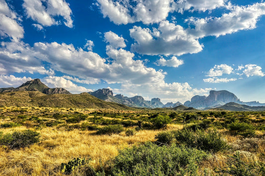 Big Bend National Park Border Wall Update