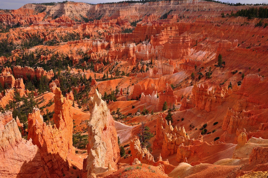 How to Contribute to Public Lands: Ways to Get Involved and Key Resources