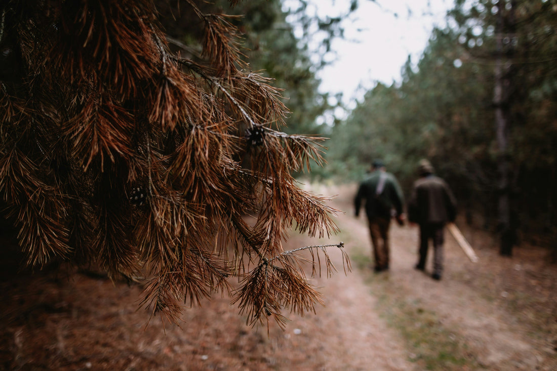 Executing Your Hunt on Public Lands: In-Field Tactics and Ethical Considerations