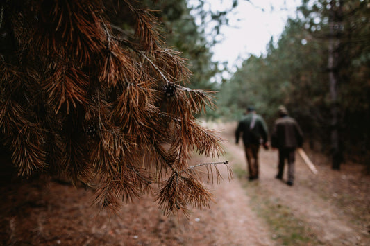 Executing Your Hunt on Public Lands: In-Field Tactics and Ethical Considerations