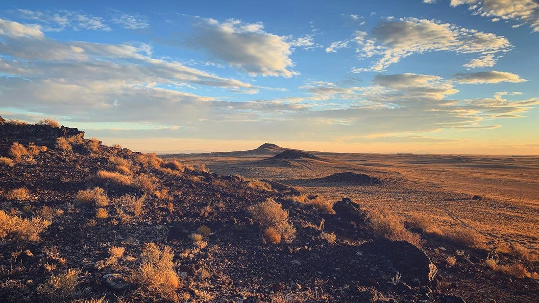 Public Lands Legislation Update: March 2026 Overview