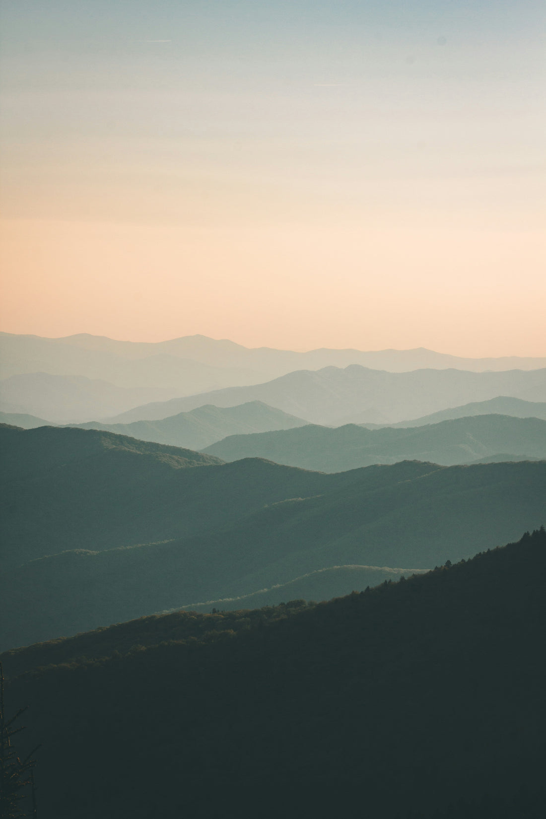 Spotlight on Non-Profits Supporting Public Lands Access Amid the 2025 Government Shutdown