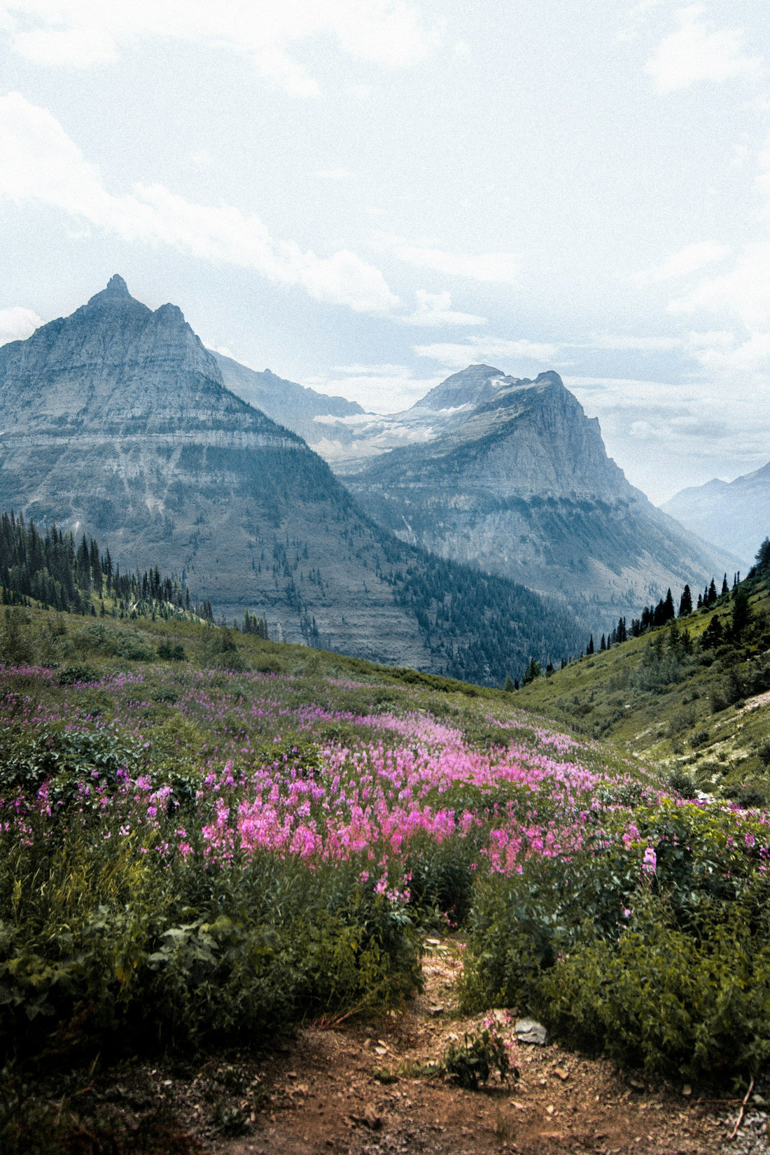 Best Public Parks to Visit Right Now: Late June / Early July 2026