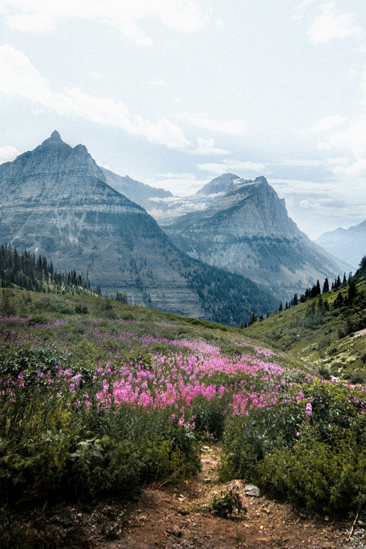 Best Public Parks to Visit Right Now: Late June / Early July 2026
