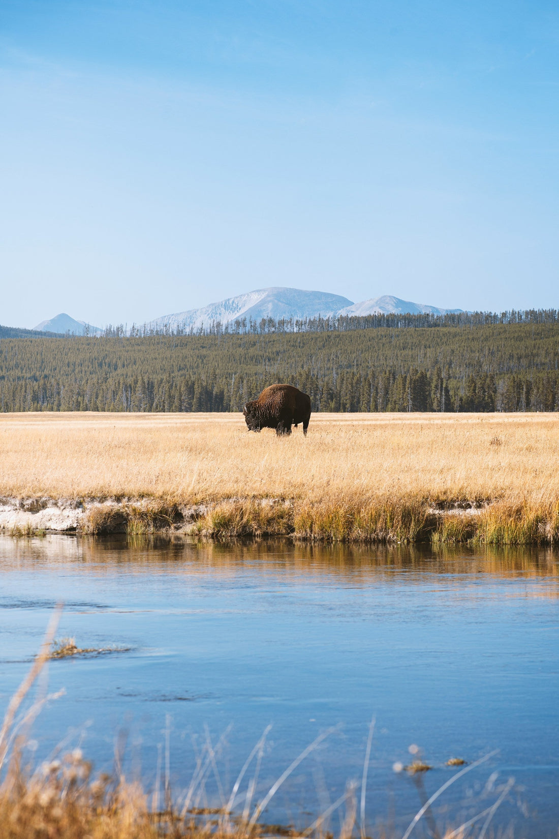 Yellowstone National Park: America’s First National Park