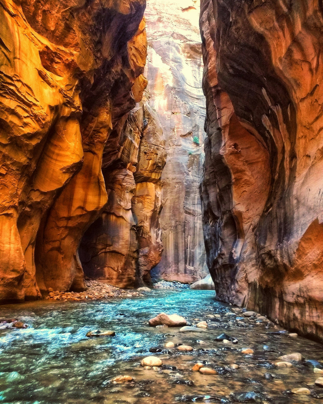 Public Lands Update: Roadless Rule Repeal Progress & Other Land Developments