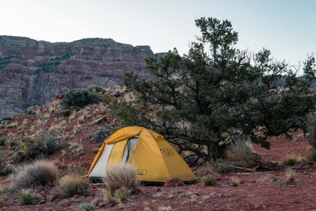 Resources for Getting Outdoors in 2026: Gear Trends and Camping Tips