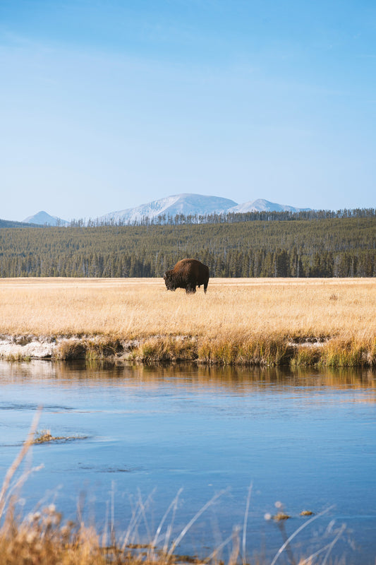 Top 2025 National Park Adventure: Yellowstone Awaits!