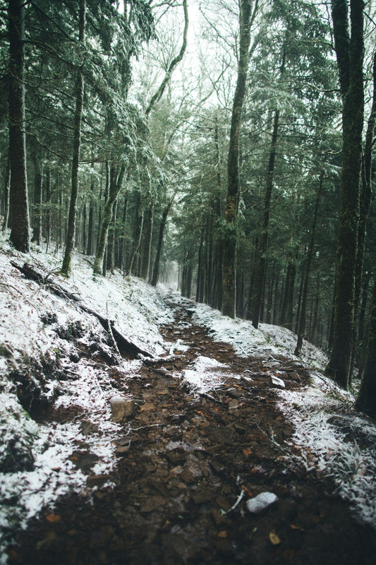 Sustainable Hiking on Public Lands: Best Practices to Preserve the Trails